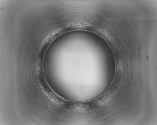 X0000060800736200511141439