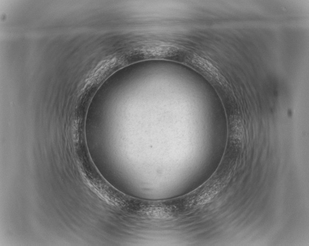 X0000060800738200511141439