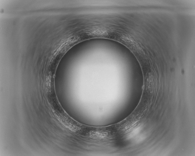 X0000060800739200511141439