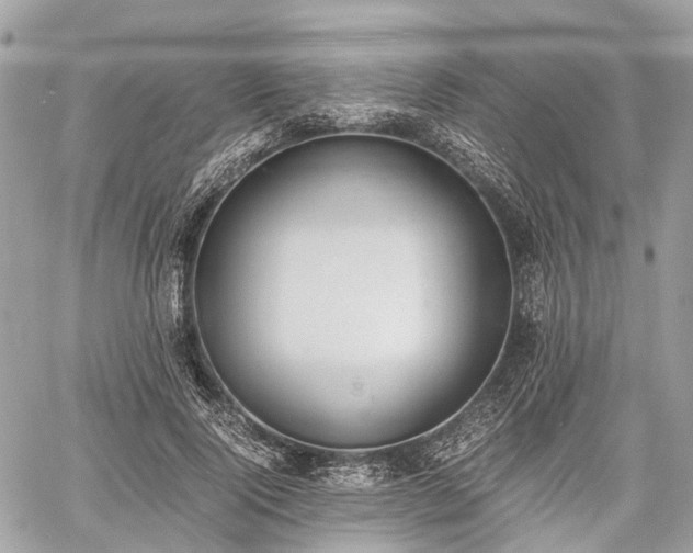 X0000060800740200511141439