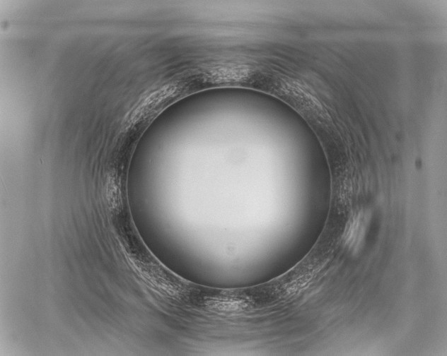 X0000060800743200511141439