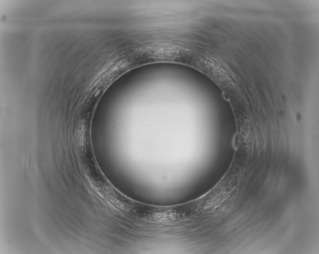 X0000060800744200511141439