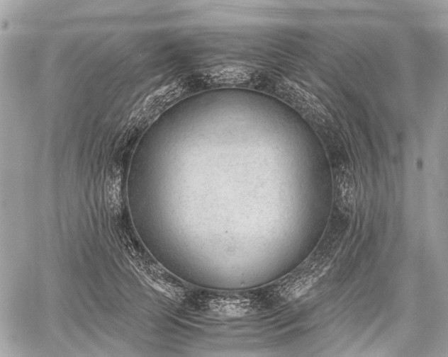 X0000060800745200511141439