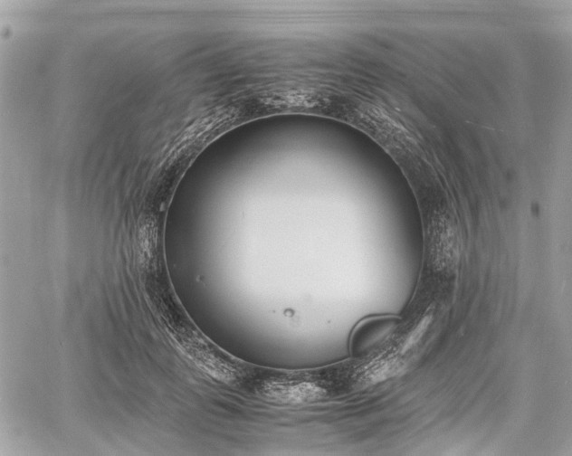 X0000060800747200511141439