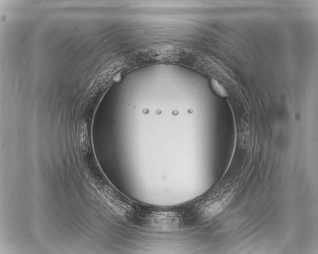 X0000060800748200511141439