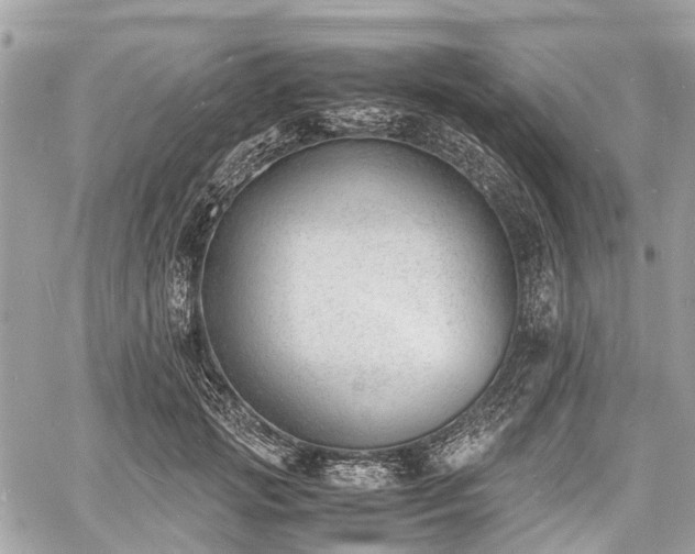 X0000060800749200511141439