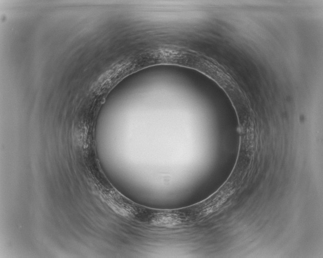 X0000060800750200511141439