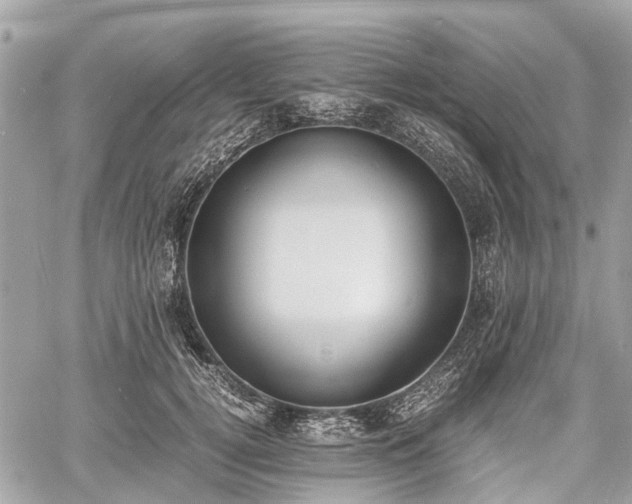 X0000060800752200511141439