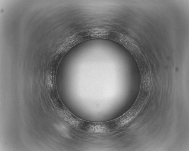 X0000060800755200511141439