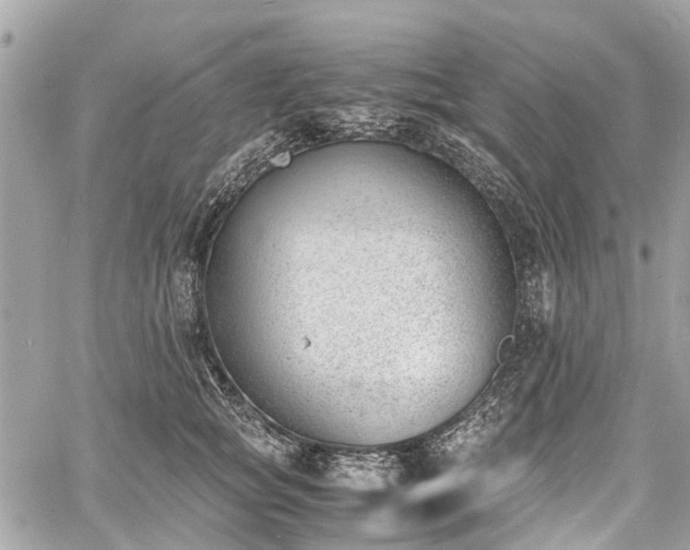 X0000060800757200511141439