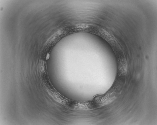 X0000060800758200511141439