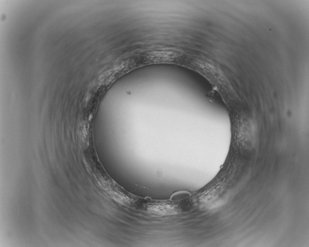 X0000060800759200511141439