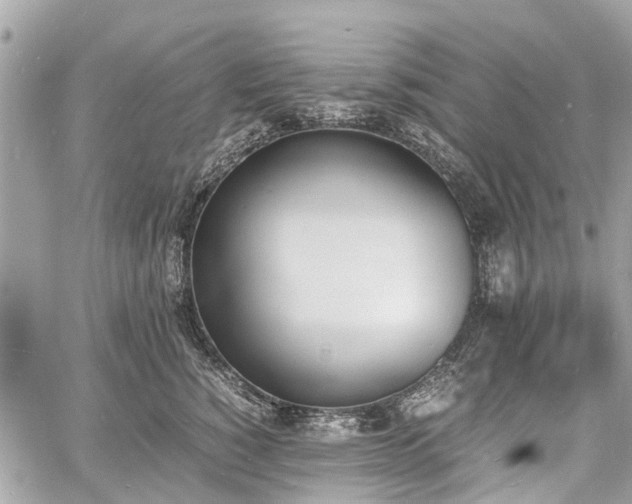 X0000060800760200511141440