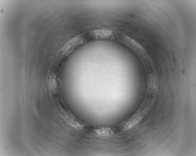 X0000060800761200511141440