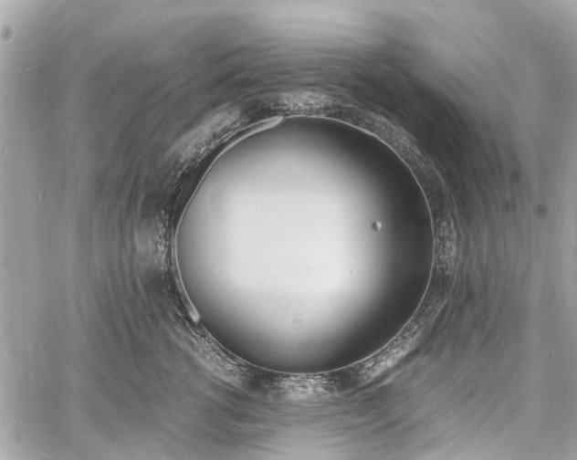 X0000060800762200511141440