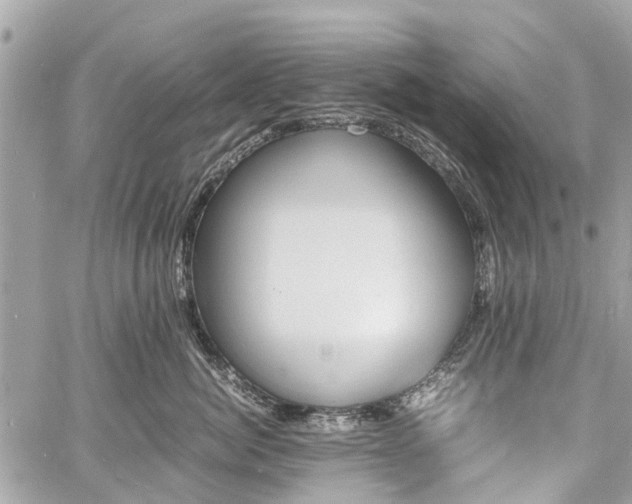 X0000060800764200511141440