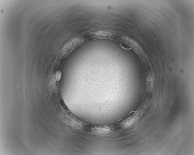 X0000060800765200511141440