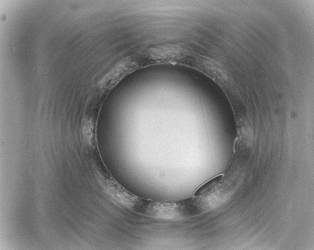 X0000060800767200511141440