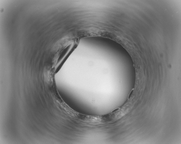 X0000060800768200511141440