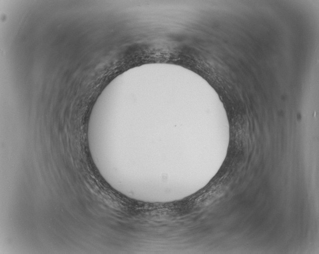 X0000060800769200511141439