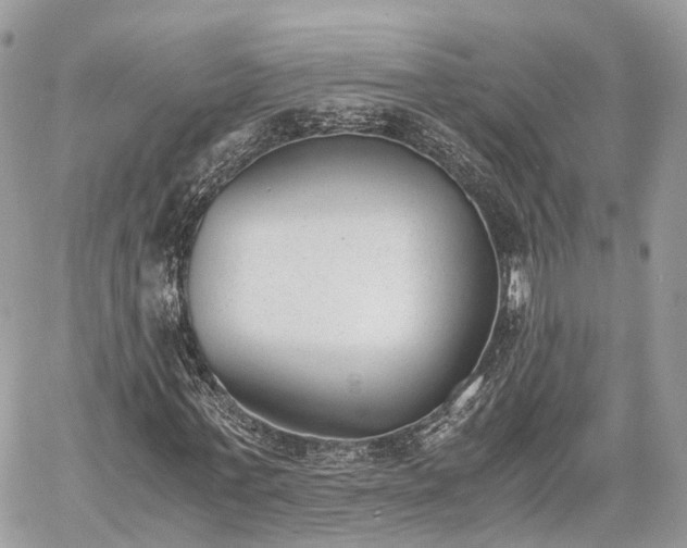 X0000060800771200511141439