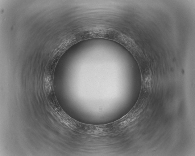 X0000060800772200511141439