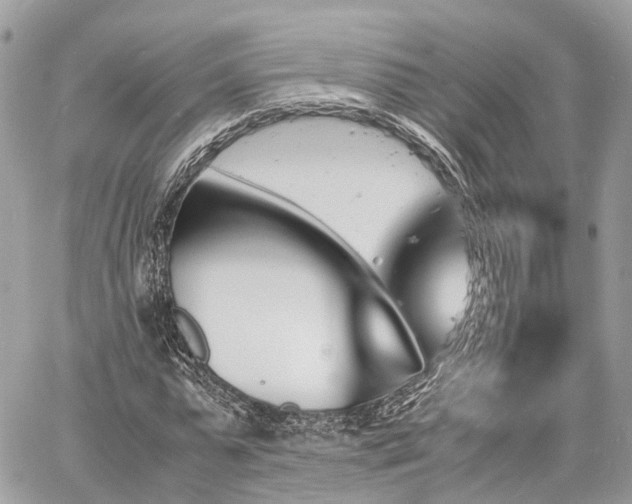 X0000060800775200511141439