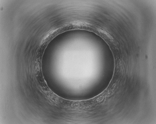 X0000060800776200511141439