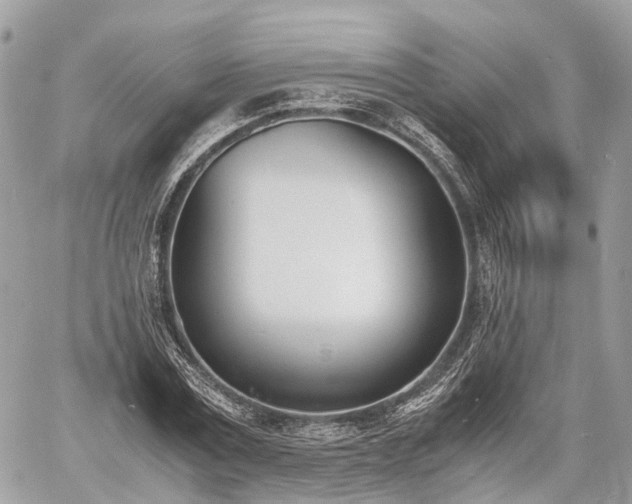 X0000060800779200511141439