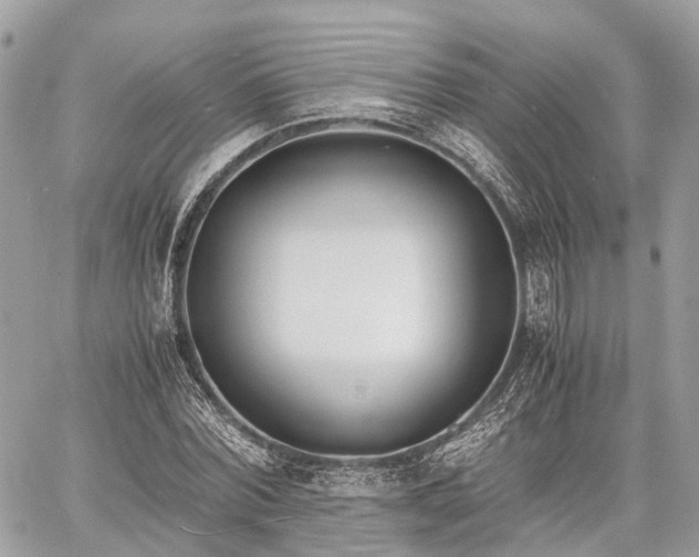 X0000060800780200511141439