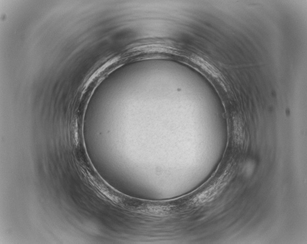 X0000060800782200511141439