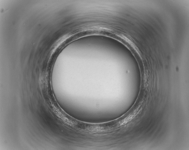 X0000060800783200511141439