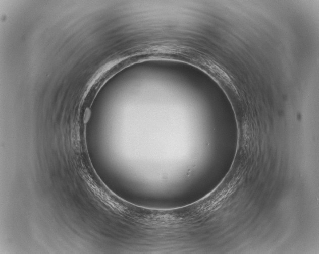 X0000060800784200511141439