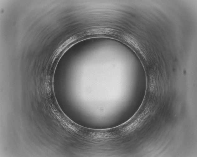 X0000060800786200511141439