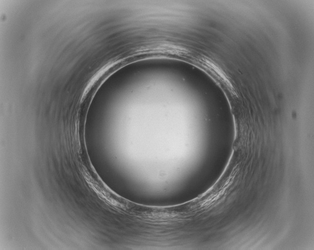 X0000060800788200511141439