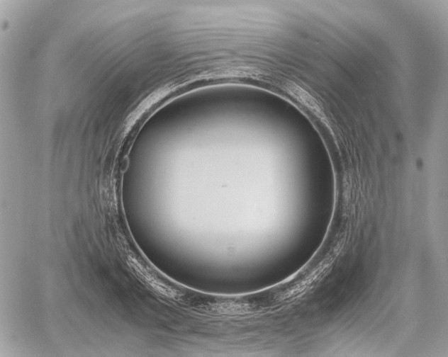 X0000060800789200511141439