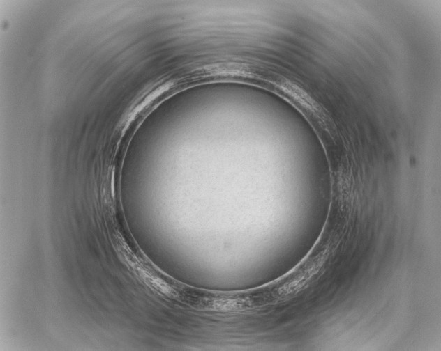 X0000060800790200511141438