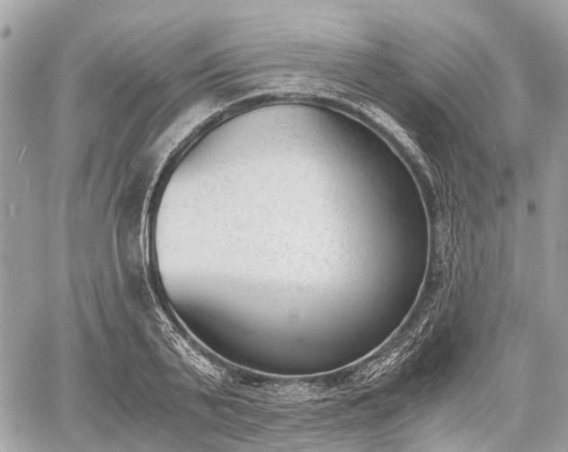 X0000060800791200511141438