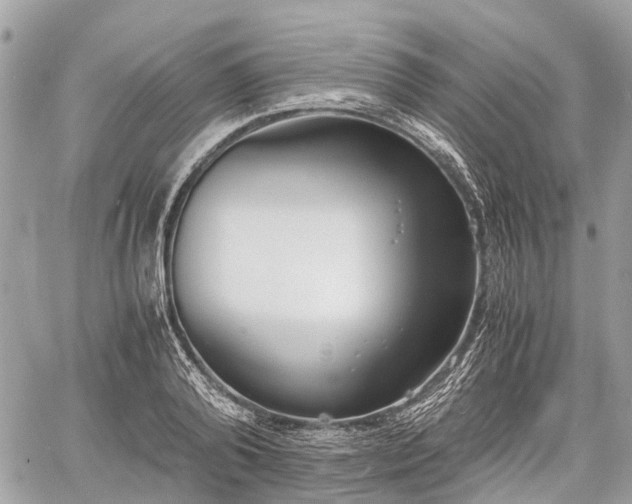 X0000060800792200511141438