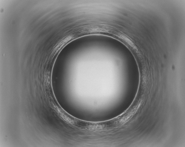 X0000060800793200511141438