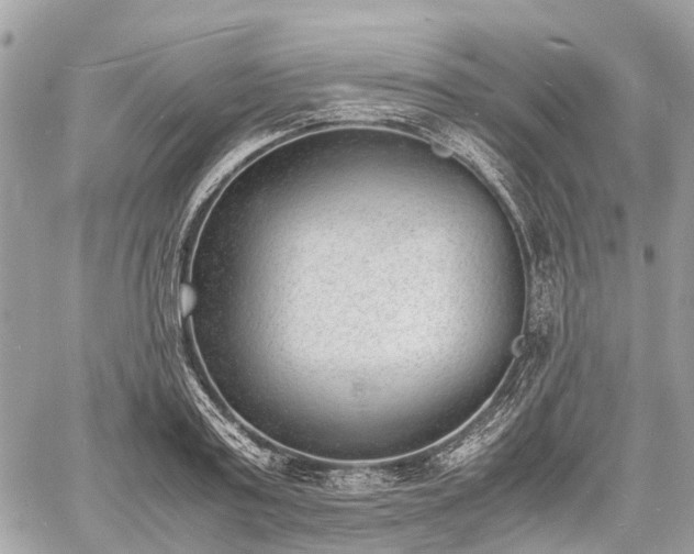 X0000060800795200511141438