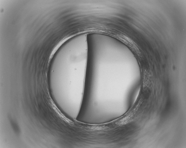 X0000060800796200511141438