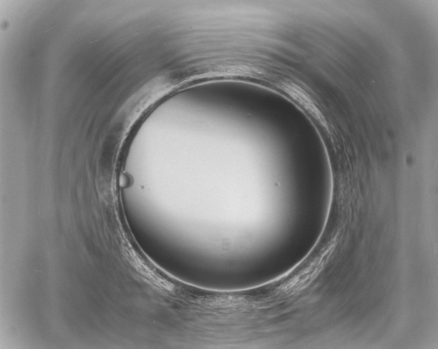 X0000060800797200511141438