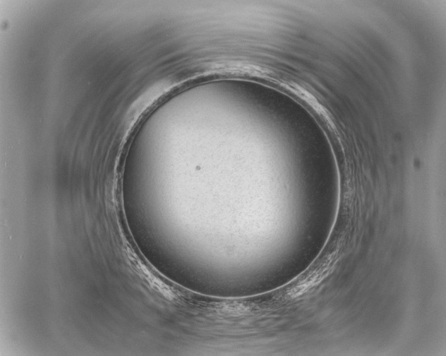 X0000060800799200511141438