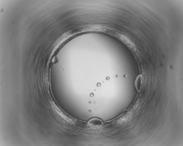 X0000060800800200511141438