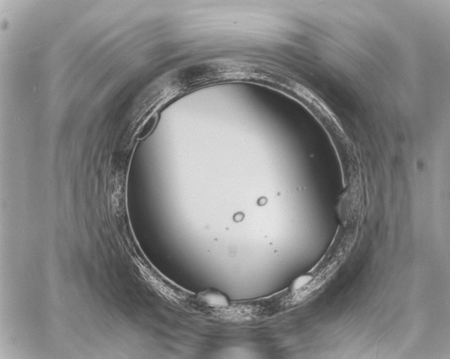 X0000060800801200511141438