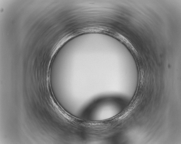 X0000060800802200511141438