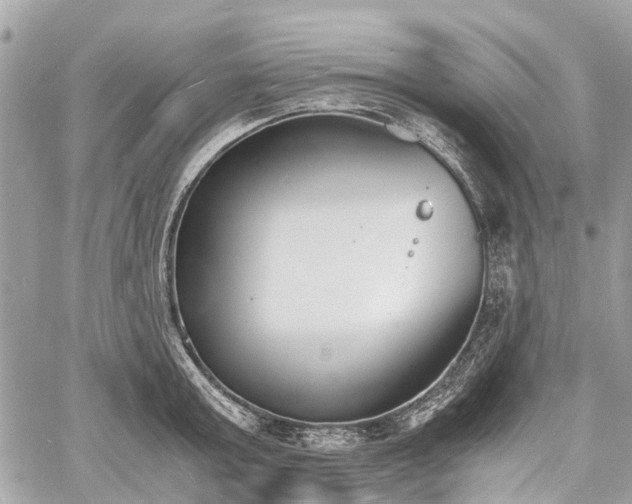 X0000060800803200511141438