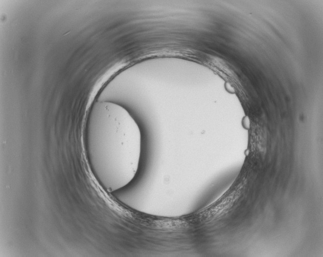 X0000060800804200511141438