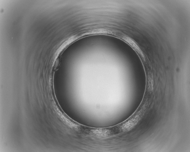 X0000060800805200511141438